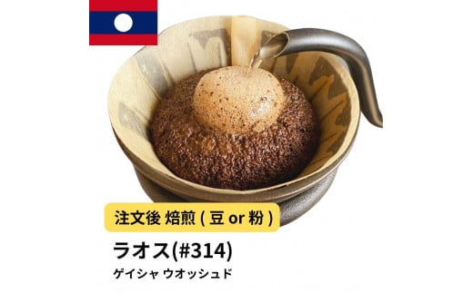 [粉]コーヒー #314 ラオス ゲイシャ100% ウオッシュド 310g 当日焙煎 大山珈琲