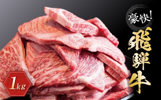 【10月発送】飛騨牛 訳あり焼肉1kg 切