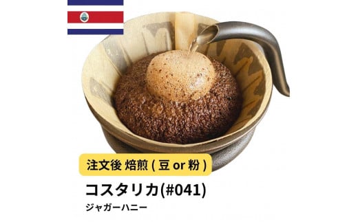 [粉]コーヒー #041 コスタリカ FSHB タラス ジャガーハニー 310g 当日焙煎 大山珈琲