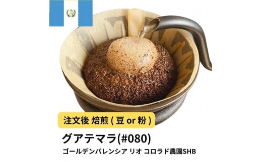 [豆]コーヒー #080 グアテマラ ゴールデンパレンシア リオ コロラド農園SHB 310g 当日焙煎 大山珈琲