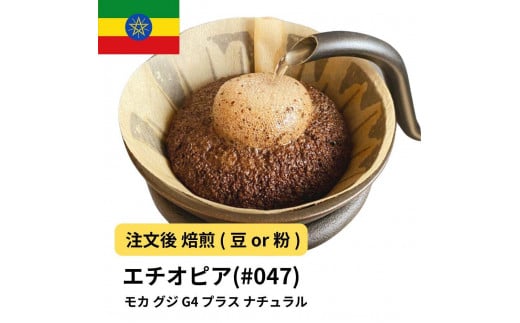 [豆]コーヒー #047 モカ グジ G4 プラス ナチュラル 310g 当日焙煎 大山珈琲