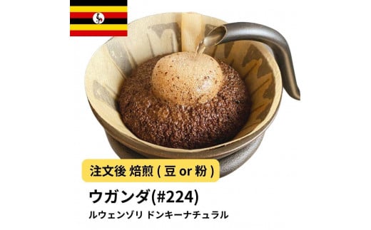 [粉]コーヒー #224 ウガンダ ルウェンゾリ ドンキーナチュラル 310g 当日焙煎 大山珈琲