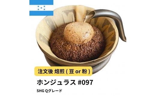 [粉]コーヒー #097 ホンジュラス SHG Qグレード 310g 当日焙煎 大山珈琲