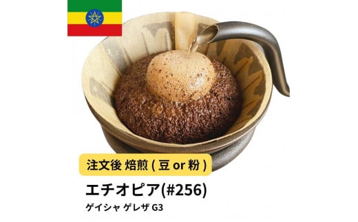 [豆]コーヒー #256 エチオピア ゲイシャ ゲレザ G3 310g 当日焙煎 大山珈琲