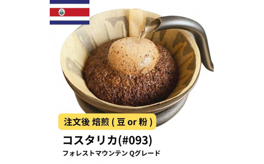 [豆]コーヒー #093 コスタリカ フォレストマウンテン Qグレード 310g 当日焙煎 大山珈琲