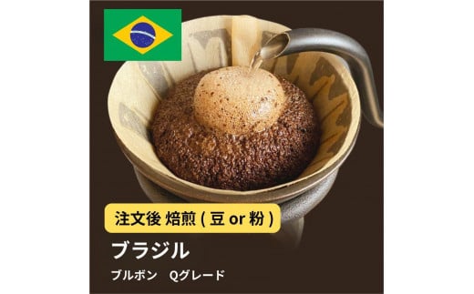[粉]コーヒー #002 ブラジル ブルボン Qグレード コーヒー 310g 当日焙煎 大山珈琲