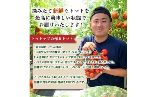 アイテムID:362413の画像2枚目