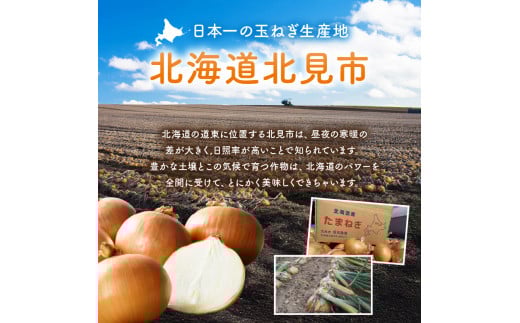 北海道北見市のふるさと納税 【2026年1月中お届け】日本一の玉ねぎ生産地！信田農園の玉ねぎ 10kg Lサイズ ( 信田農園 野菜 玉ねぎ 玉葱 たまねぎ タマネギ 10キロ 北見のたまねぎ オニオン 野菜 甘い ふるさと納税 )【124-0006-2025】