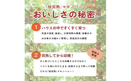 アイテムID:362413の画像3枚目