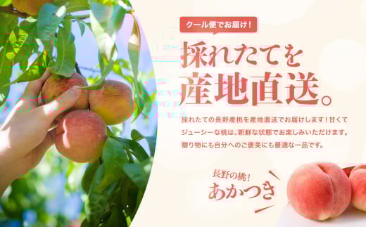 長野県飯田市のふるさと納税 長野県産 桃 (あかつき) 約3kg 秀品〈2025年7月下旬～8月下旬発送〉| 桃 もも モモ あかつき 長野県 産地直送 くだもの 果物 フルーツ デザート 送料無料 長野県 飯田市