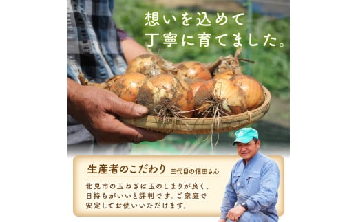 北海道北見市のふるさと納税 【2026年1月中お届け】日本一の玉ねぎ生産地！信田農園の玉ねぎ 10kg Lサイズ ( 信田農園 野菜 玉ねぎ 玉葱 たまねぎ タマネギ 10キロ 北見のたまねぎ オニオン 野菜 甘い ふるさと納税 )【124-0006-2025】