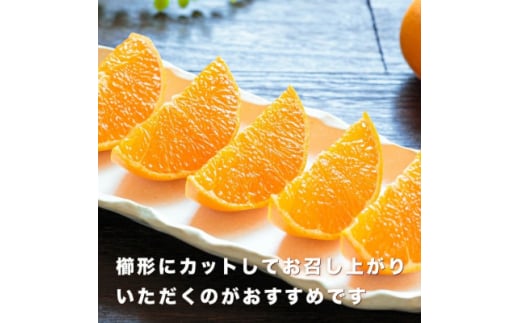蜜入りりんご『ちょっと訳ありこみつ』秀A品(白箱) 青森県石川