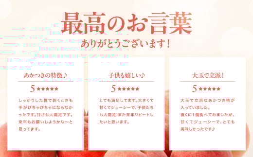 長野県飯田市のふるさと納税 長野県産 桃 (あかつき) 約3kg 秀品〈2025年7月下旬～8月下旬発送〉| 桃 もも モモ あかつき 長野県 産地直送 くだもの 果物 フルーツ デザート 送料無料 長野県 飯田市