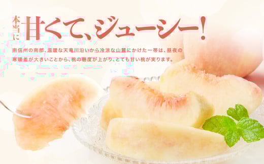 長野県飯田市のふるさと納税 長野県産 桃 (あかつき) 約3kg 秀品〈2025年7月下旬～8月下旬発送〉| 桃 もも モモ あかつき 長野県 産地直送 くだもの 果物 フルーツ デザート 送料無料 長野県 飯田市