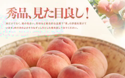 長野県飯田市のふるさと納税 長野県産 桃 (あかつき) 約3kg 秀品〈2025年7月下旬～8月下旬発送〉| 桃 もも モモ あかつき 長野県 産地直送 くだもの 果物 フルーツ デザート 送料無料 長野県 飯田市