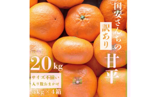 ＜愛媛が誇る 高級みかん 希少品種＞訳あり 甘平 (かんぺい) 20kg＜H20-69＞【1620340】
