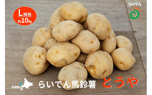2025年 8月 出荷 先行予約 らいでん 馬鈴薯 とうや L 規格 約10kg