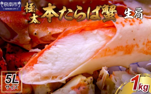 【1肩1kgの極太5Lサイズ】本たらば蟹 生肩 1kg 1肩 約1kg 本タラバ シュリンク 生 蟹の丸山 たらば蟹【087D-079】 2066376 - 大阪府泉南市