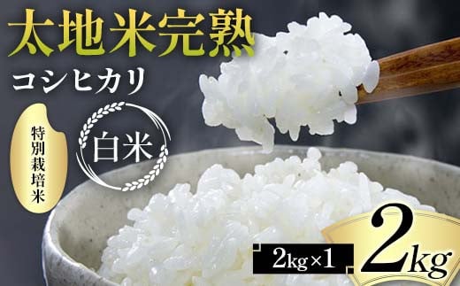 2024年産 特別栽培米 太地米完熟 【こしひかり】 白米 2kg ブランド米 お米 精米 白米 人気 F7X-0311 2114604 - 福島県須賀川市