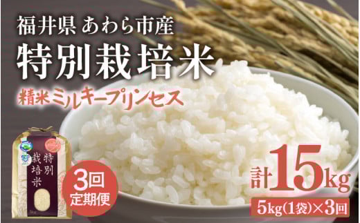 【先行予約】【令和7年産】定期便 ≪3ヶ月連続お届け≫ 化学肥料不使用 特別栽培米 ミルキープリンセス 精米 5kg × 3回（合計15kg） / 白米 米 福井県あわら市産 美味しい 特別栽培米 減農薬 安心な米 旨味 甘み もっちり 冷蔵保管米 ※2025年10月上旬より順次発送 [aw010-c007]