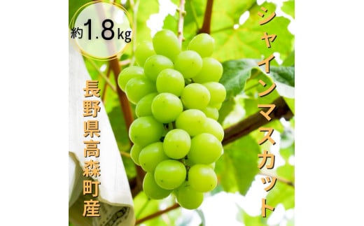 ジューシーなシャインマスカット 約1.8kg＜9月中旬より発送＞ 1307337 - 長野県高森町