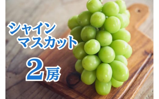 シャインマスカット2房1.2Kg以上　佐渡島産 2105521 - 新潟県佐渡市