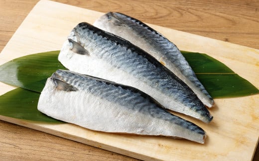 【5ヶ月定期便】【訳あり】国産 ふっくら 極み塩サバ 計約1kg ／ 1切れ 塩サバ 塩さば 塩鯖 さば サバ 鯖 魚