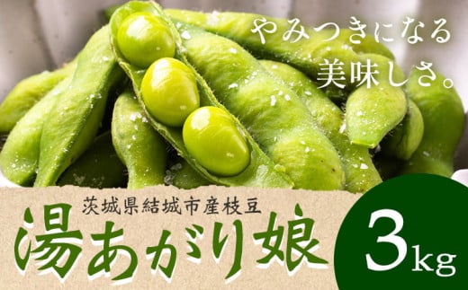 枝豆 茨城県結城市産枝豆「湯あがり娘」3kg（茶豆味）有限会社大嶋農園 《7月中旬-7月末頃出荷》 野菜 国産 甘み 香り 濃厚 つまみ ビールのおつまみ ビールのつまみ【配送不可地域あり】 1172465 - 茨城県結城市