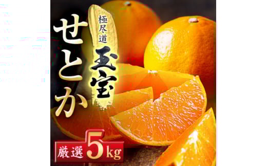 「玉宝ブランド」＜せとか＞5kg＜G64-62＞【1621005】