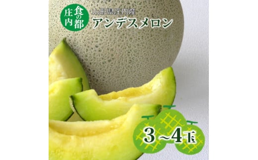 食の都庄内【令和7年産】アンデスメロン　3～4玉※令和7年7月上旬頃より発送予定