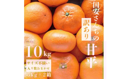 ＜愛媛が誇る 高級みかん 希少品種＞訳あり 甘平 (かんぺい) 10kg＜H20-68＞【1620339】