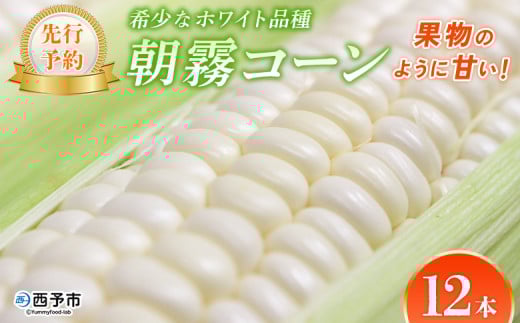 【先行予約】＜朝霧（あさぎり）コーン 12本＞ 国産 雪の妖精 ホワイトコーン 白い 白 とうもろこし 幻のとうもろこし 生で食べられる 甘い 糖度が高い 朝霧コーン 野菜 株式会社ノムランド 愛媛県 西予市【冷蔵】『2025年6月～10月迄に順次出荷予定』