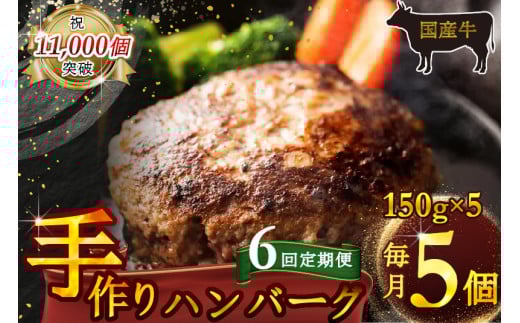 （定期便）【全6回】（冷凍）国産牛肉100％食べ応え満点 手作り・手ごね ハンバーグ 750g ／ 歩商事 定期便 牛肉 手作り 手ごね ハンバーグ 奈良県 田原本町