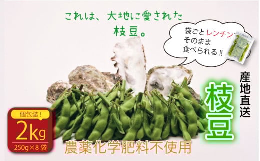 [そのままレンチン!]枝豆 1kg 農薬不使用 個包装 250g × 4袋 野菜 えだまめ おつまみ 動物性肥料不使用 牧之原市 静岡県