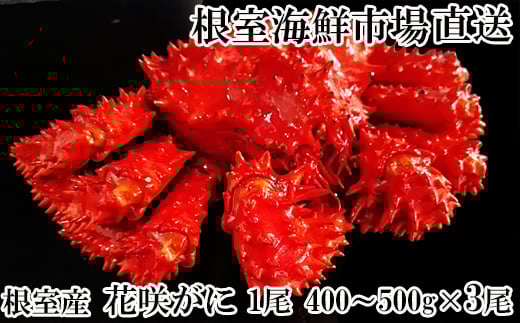B-11119 【北海道根室産】花咲ガニ400～500g×3尾