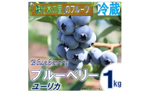 ＜先行予約/冷蔵＞ブルーベリー1kg(ユーリカ)【1494373】