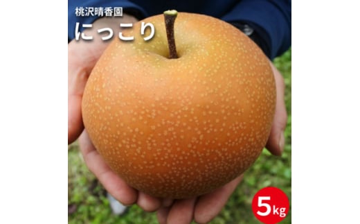 ＜桃沢晴香園＞にっこり梨 約5kg(7玉)【1606256】