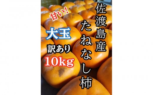 【訳あり】大玉たねなし柿10kg（箱込み重量）佐渡島産 2105520 - 新潟県佐渡市