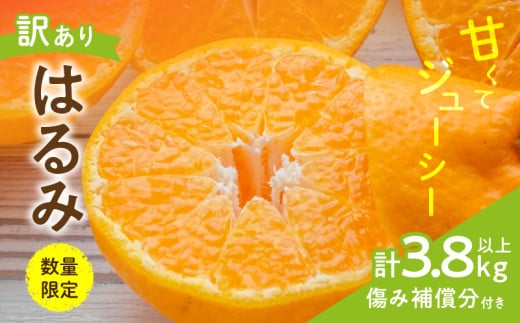 先行予約 訳あり はるみ 計3.8kg以上 傷み補償分付き 令和8年発送 期間限定 数量限定 フルーツ 果物 くだもの 柑橘 みかん オレンジ 国産 食品 デザート ジュース おやつ 希少 家庭用 不揃い 傷 規格外 訳アリ おすすめ おすそ分け 宮崎県 日南市 送料無料_AAV5-25 1396834 - 宮崎県日南市