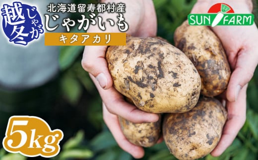越冬じゃがいも キタアカリ 5kg いも おいも 芋 イモ ジャガイモ ポテト きたあかり オンライン 申請 ふるさと納税 北海道 留寿都 野菜 根菜 ホクホク 産地直送 新鮮 採れたて ポテトサラダ コロッケ スープ 5キロ 留寿都村【24020】 2027097 - 北海道留寿都村