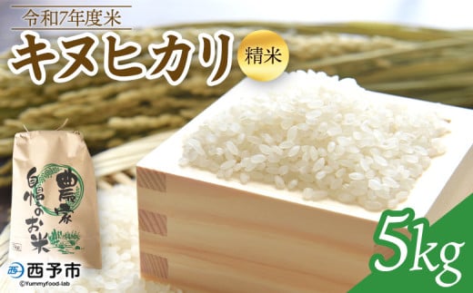 新米 ＜令和7年度 米 キヌヒカリ 精米 5kg＞ きぬひかり お米 コメ こめ 白米 ご飯 ライス りの果樹園 愛媛県 西予市【常温】