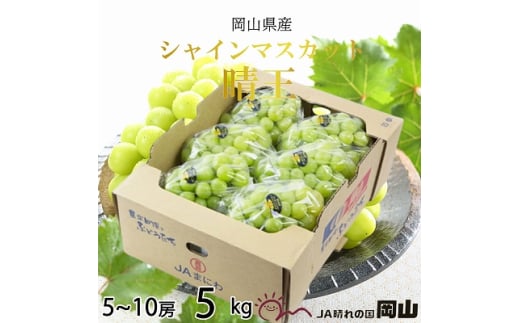 【2025年8月下旬より発送】岡山県産 シャインマスカット 晴王 5kg(5房～10房) ぶどう 葡萄 ブドウ フルーツ 果物