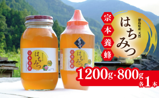 はちみつ 国産 セット 1200g 800g 各1本 天然 蜂蜜 純粋 蜂蜜ギフト 健康食品 美容 食品 無添加 栄養豊富 生はちみつ ハチミツ ギフト 贈答 人気 はちみつ お取り寄せ グルメ ヨーグルト パン スイーツ 徳島県 吉野川市 581560 - 徳島県吉野川市