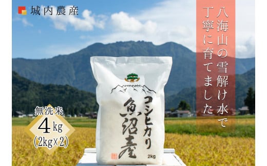 【令和7年度産新米予約】南魚沼産コシヒカリ 無洗米４kg（２ｋｇ×２）【５割減農薬栽培米】城内農産【2025年10月中旬より順次発送予定】