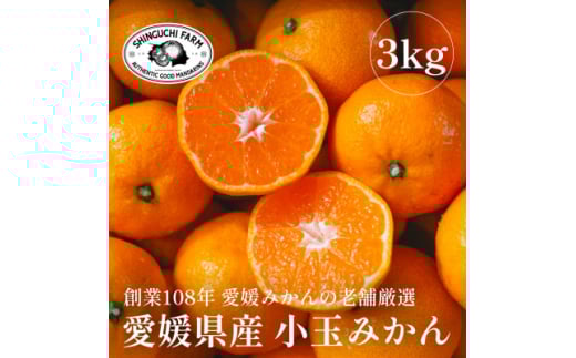 愛媛みかんの老舗厳選＜小玉 みかん3kg＞＜C70-73＞【1620185】