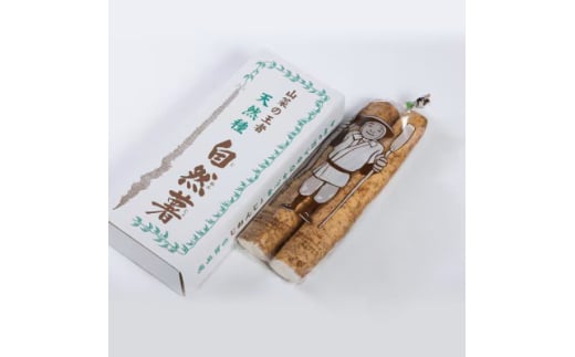 国産自然薯800g【1620191】