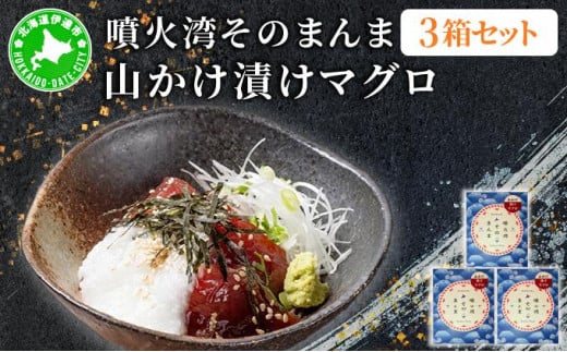 [5525-1178]噴火湾そのまんま 山かけ漬けマグロ(わさび・醤油・海苔付き)3箱 旬菜一鮮 だて大和屋 厳選 魚介 海鮮 刺身 刺し身 小分け 新鮮 魚介類 魚貝類 加工食品 贈答 ギフト 贈り物 ご褒美