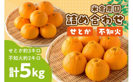 せとか約3キロ・不知火約2キロ詰め合わせ《先行予約2026年2月中旬頃より順次発送分》