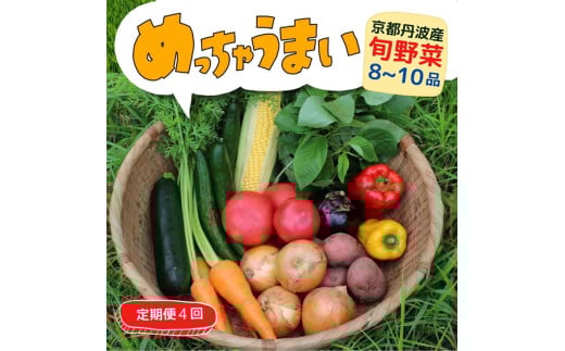 【4回定期便】＜３６９商店＞京都丹波産旬の野菜セット　※全て栽培期間中農薬・化学肥料不使用 ※北海道・沖縄・離島への配送不可 ※2025年5月より順次発送