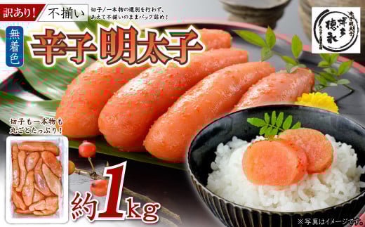 博多徳永　訳あり！無選別（混合）不揃い 無着色辛子明太子1kg 4PD1